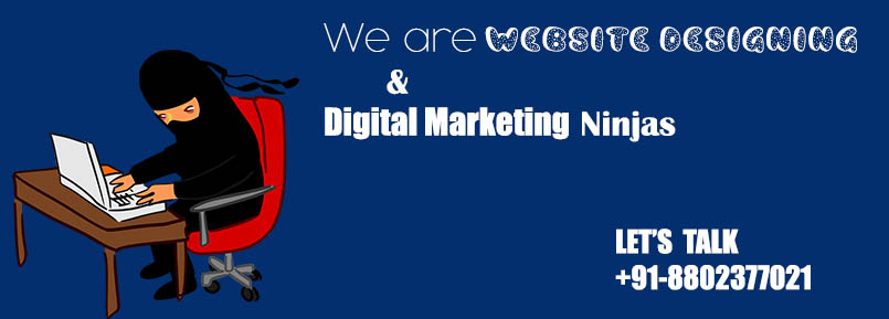 website-designing-marketing-ninjas-delhi-india