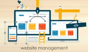 website-management