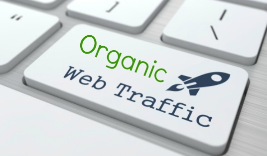 organic-web-traffic