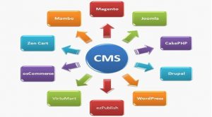 cms-website-designing