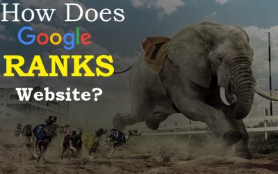 How Does Google Ranks Websites