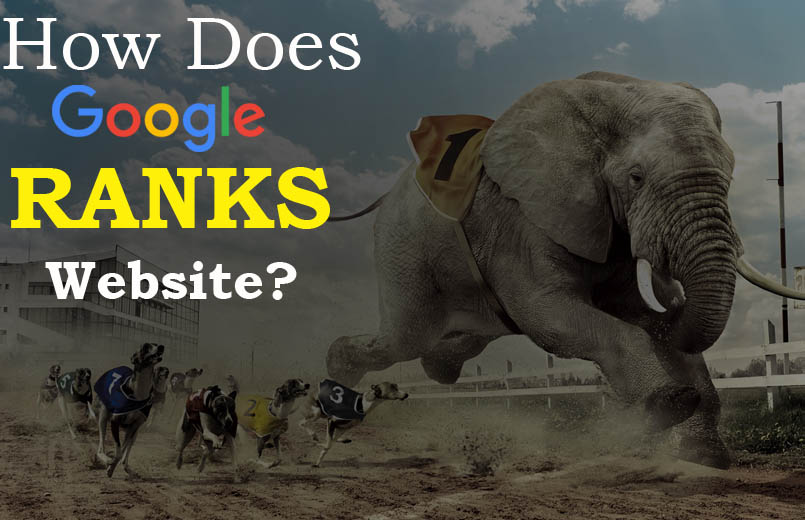 How Does Google Ranks Websites