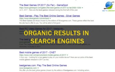 What are Organic Results in the Search Engines