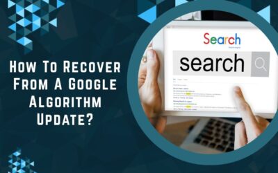 How To Recover From A Google Algorithm Update?