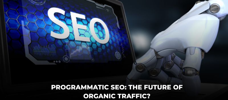 Programmatic SEO: The Future Of Organic Traffic?
