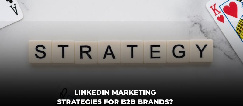 LinkedIn Marketing Strategies For B2B Brands?